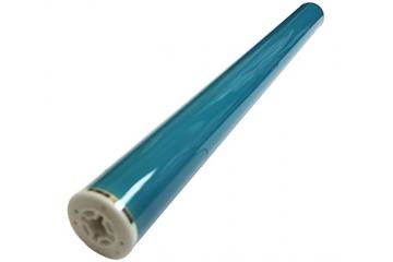 OPC HP Color LJ 5500/5550 (GG)